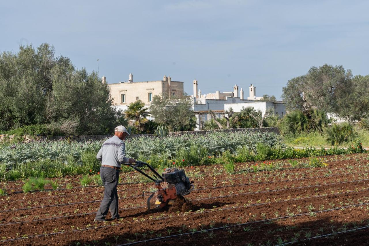 Masseria Palombara Relais & Spa - Adults Only 마두리아 외부 사진