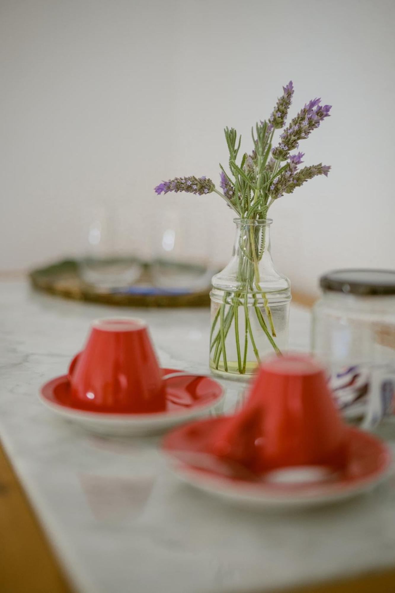 Masseria Palombara Relais & Spa - Adults Only 마두리아 객실 사진
